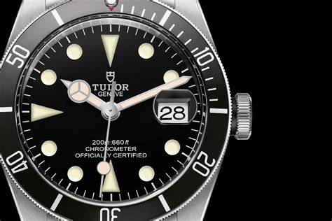 tudor watches predictions.